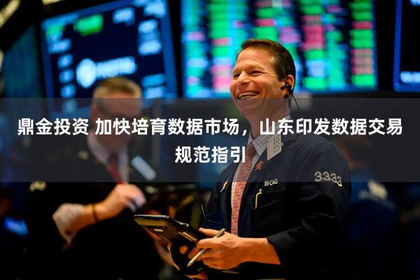 鼎金投资 加快培育数据市场，山东印发数据交易规范指引