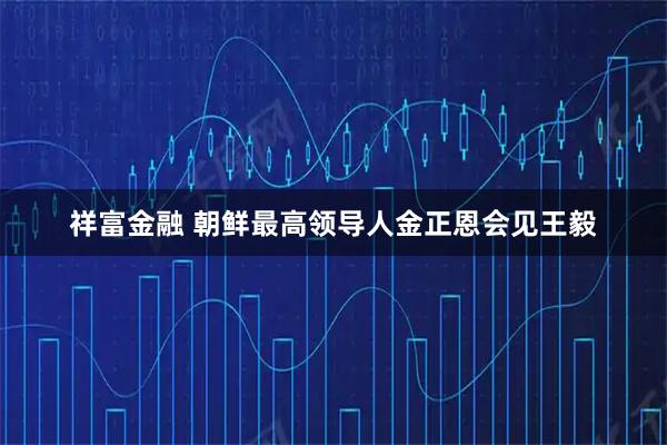 祥富金融 朝鲜最高领导人金正恩会见王毅